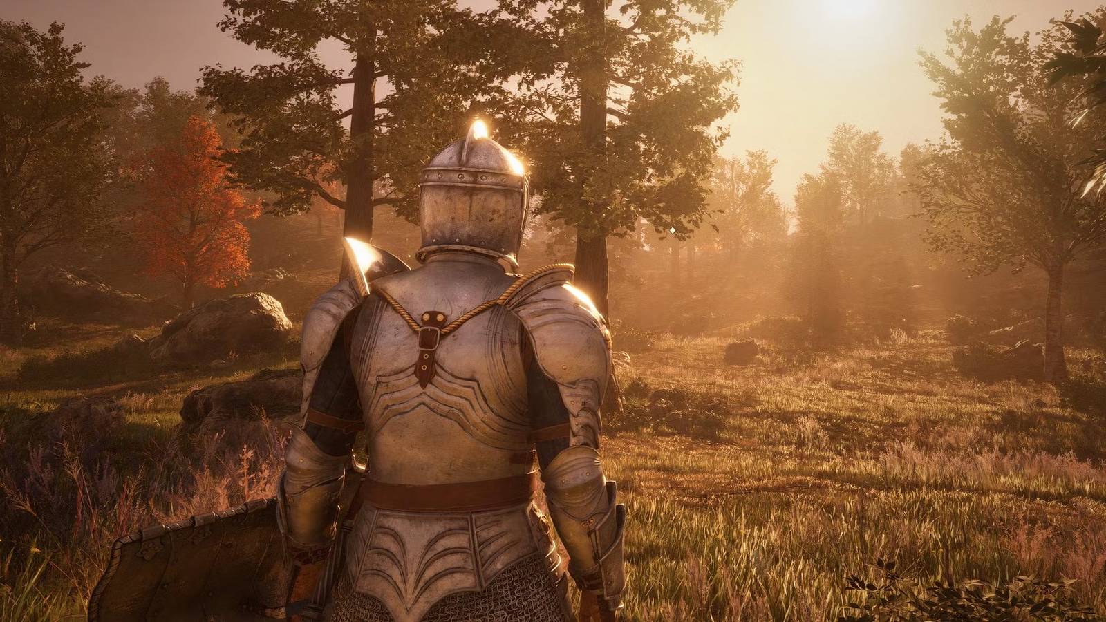 The Elder Scrolls IV Oblivion Remastered walking through forest TES4 gameplay screenshot