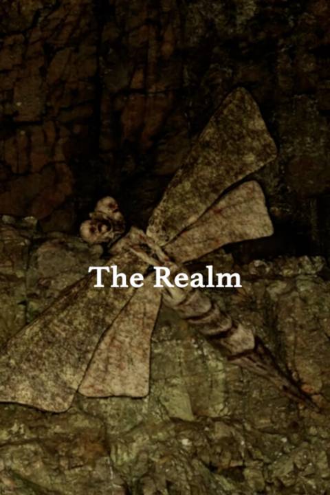 The Realm video game cover art tag