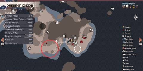 Toad Samurai enemy location in Rune Factory Guardians of Azuma Summer Region