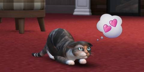 The Sims 4 cats and dogs