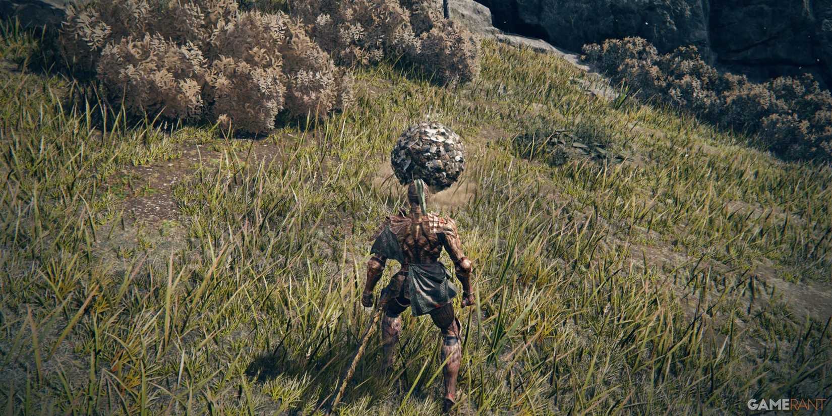 A Scarab in Elden Ring Nightreign