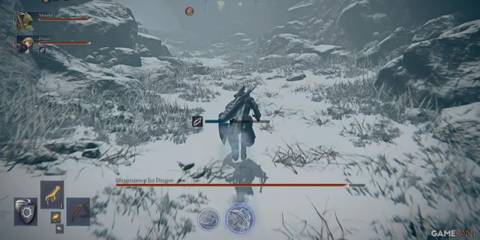 Players getting Frostbitten in Elden Ring Nightreign