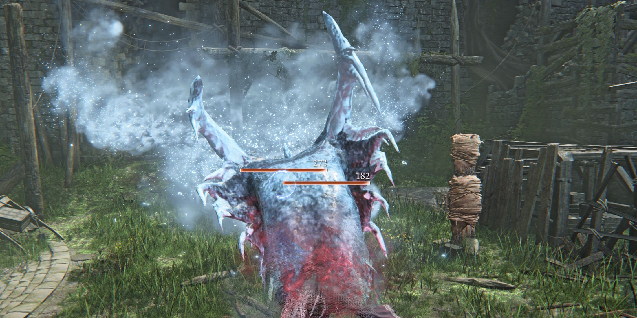A player who broke the statue in Elden Ring Nightreign