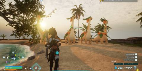 where to find Braloha in Palworld