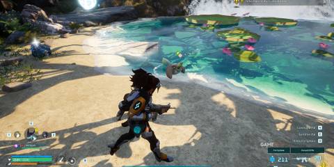 where to find Herbil in Palworld