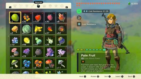 Zelda Tears of the Kingdom Duplication Glitch Food