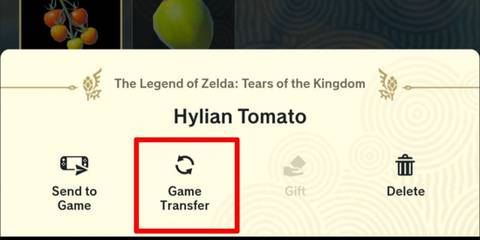 Zelda TotK Switch 2 Improvements- Item Exchange 2