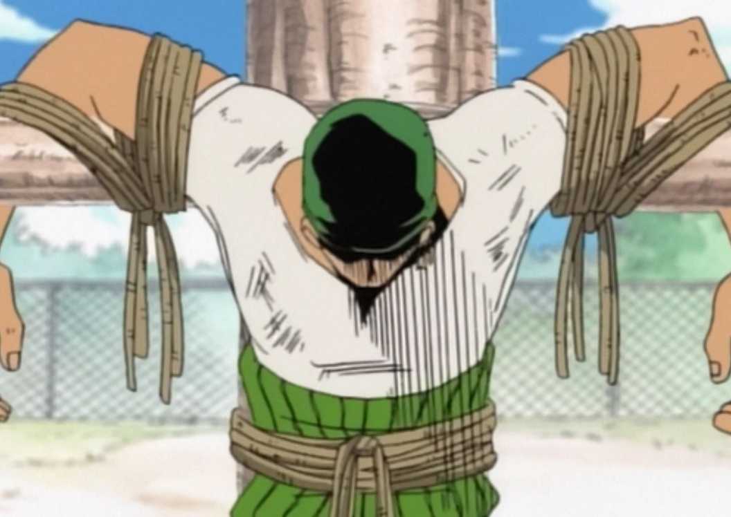 Weak Shells Weak Characters Who Became Absurdly Strong in One Piece