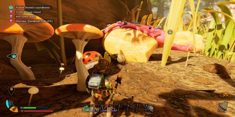 The Player Facing a Larva 