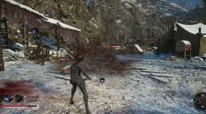 The Player Using Aurum Feather Dance