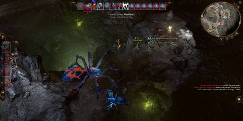 The Player Fighting the Phase Spider Matriarch 