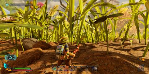 The Backpack Icon on the HUD