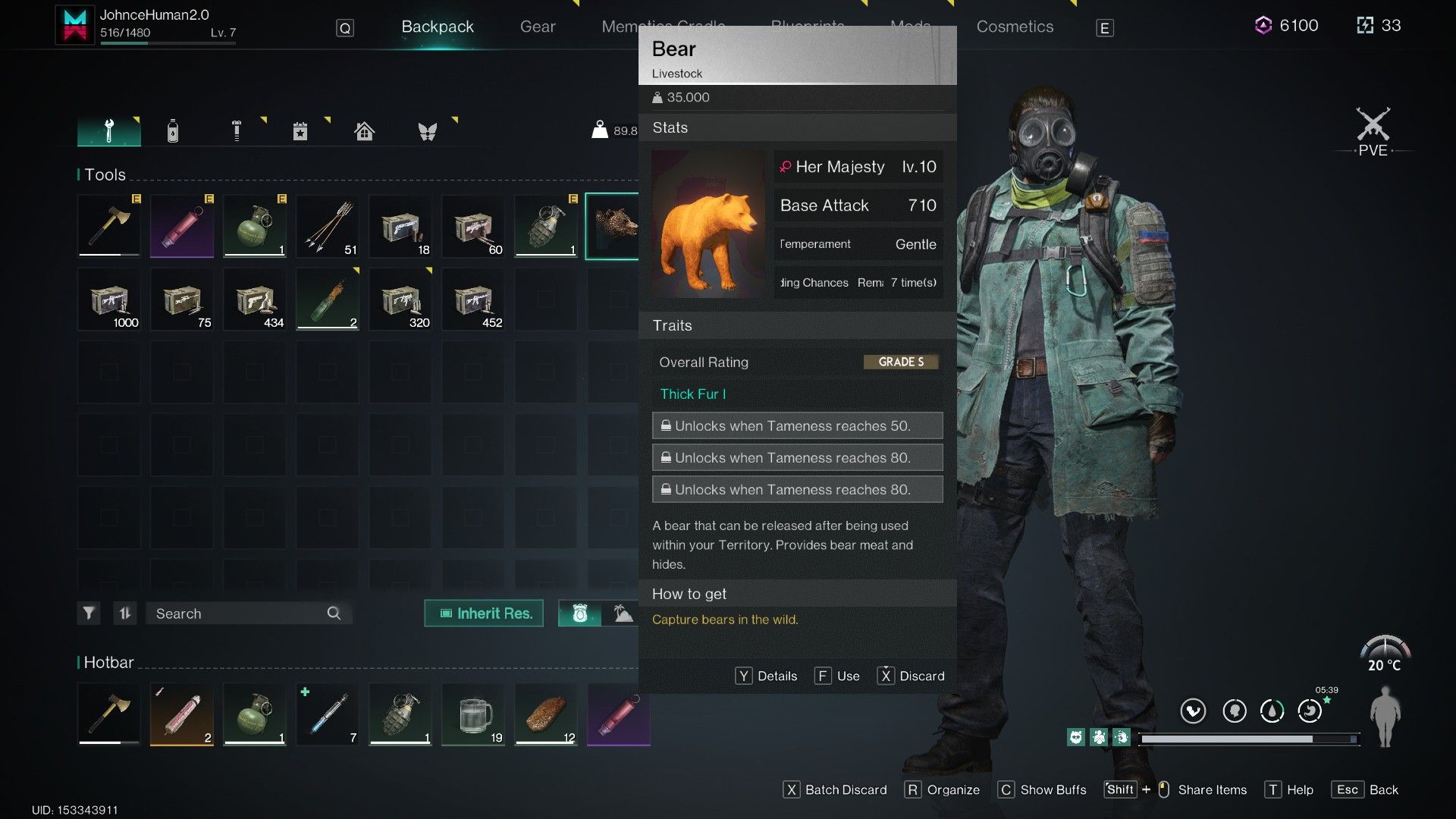 Once human bear companion in inventory