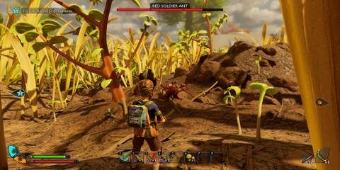 The Player Fighting a Red Soldier Ant 