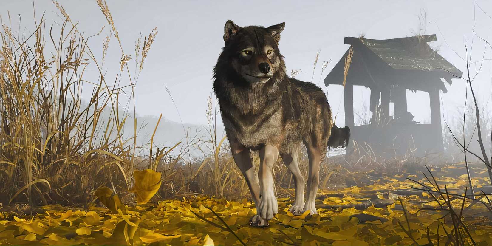 Wolf in Yotei's Ghost