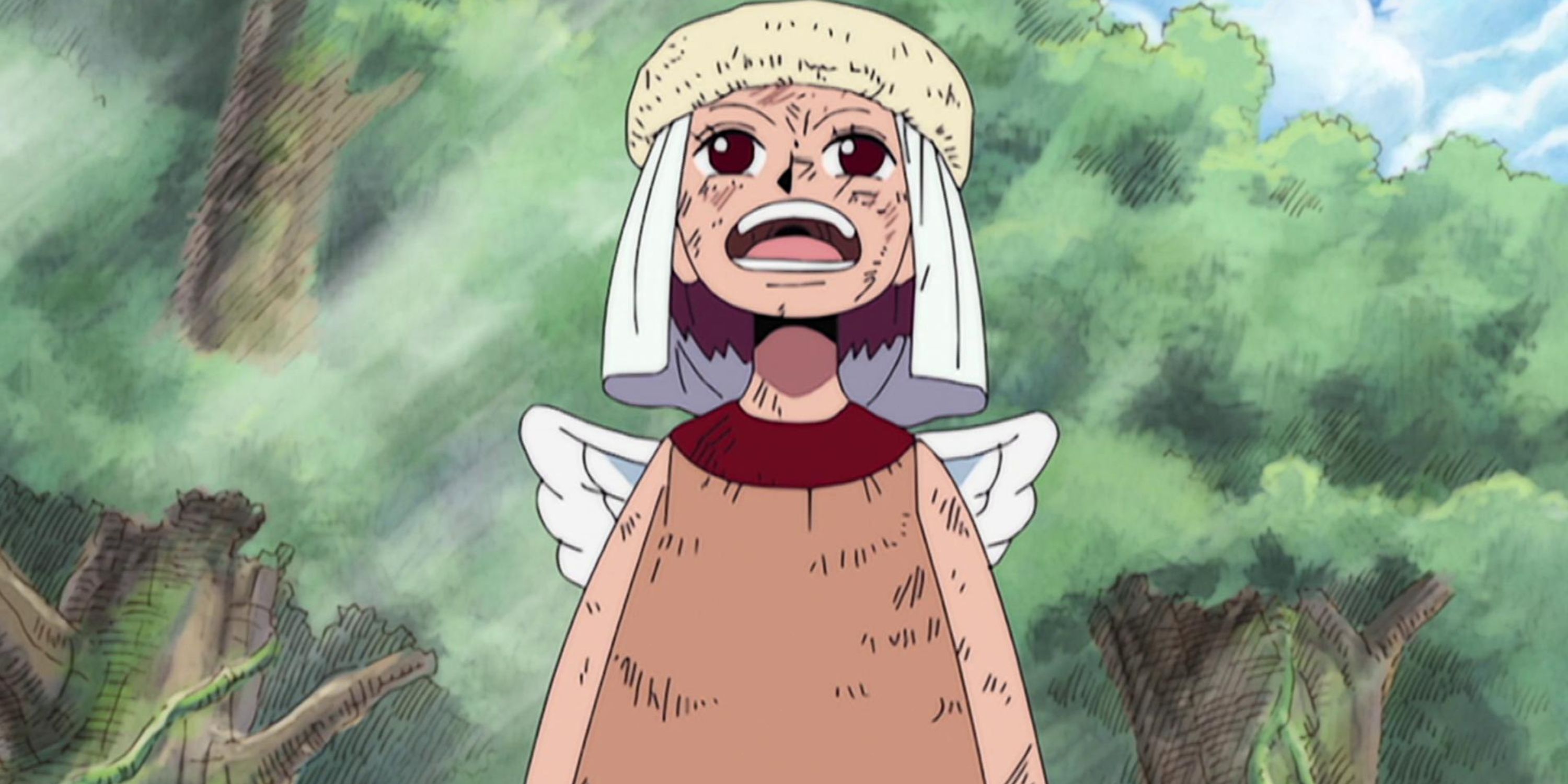 Aisa One Piece