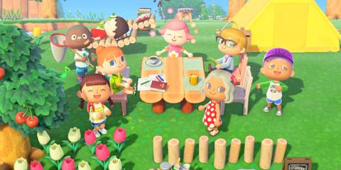 Animal Crossing New Horizons Multiplayer