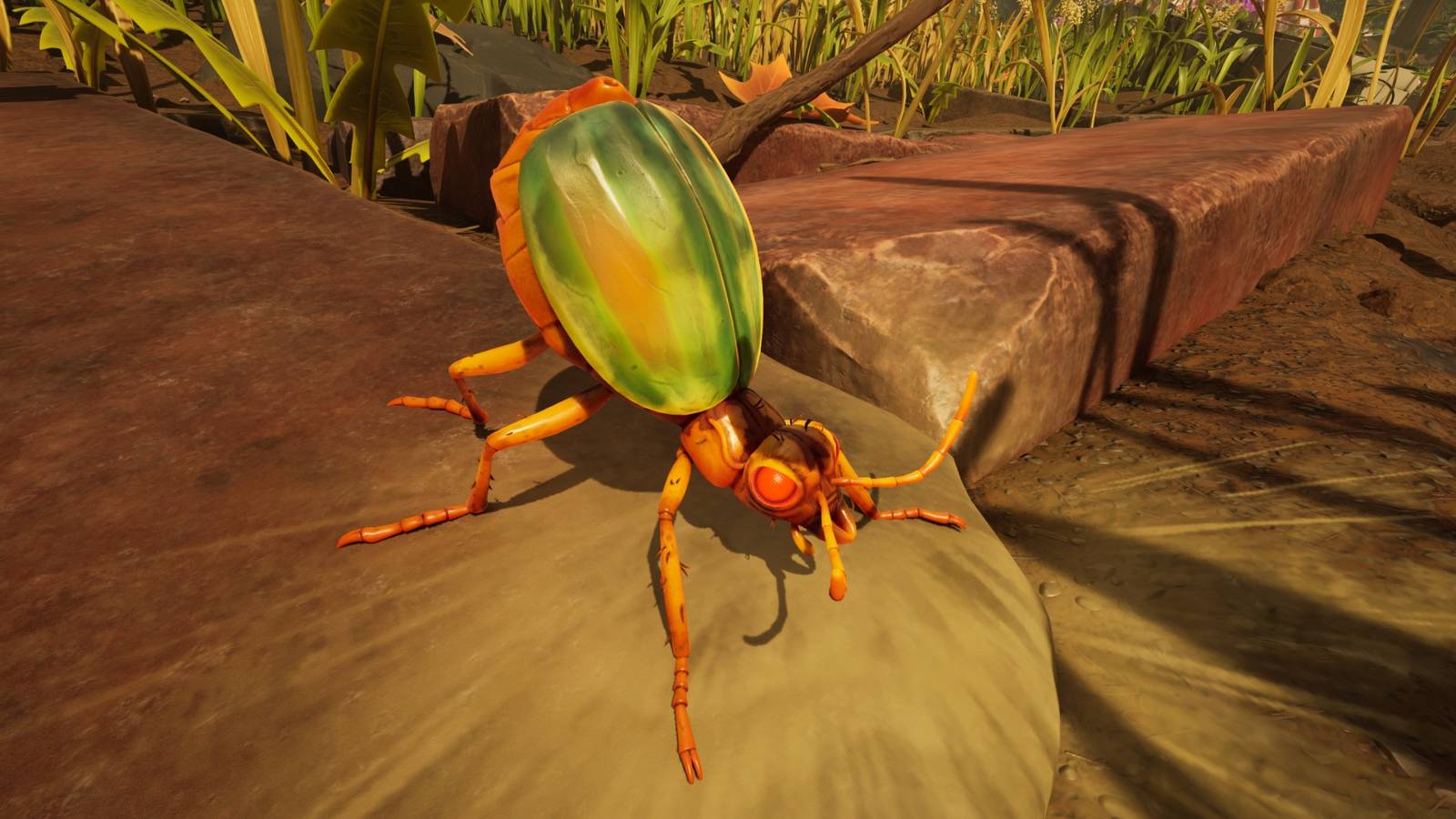 bombardier beetle attacking in grounded 2