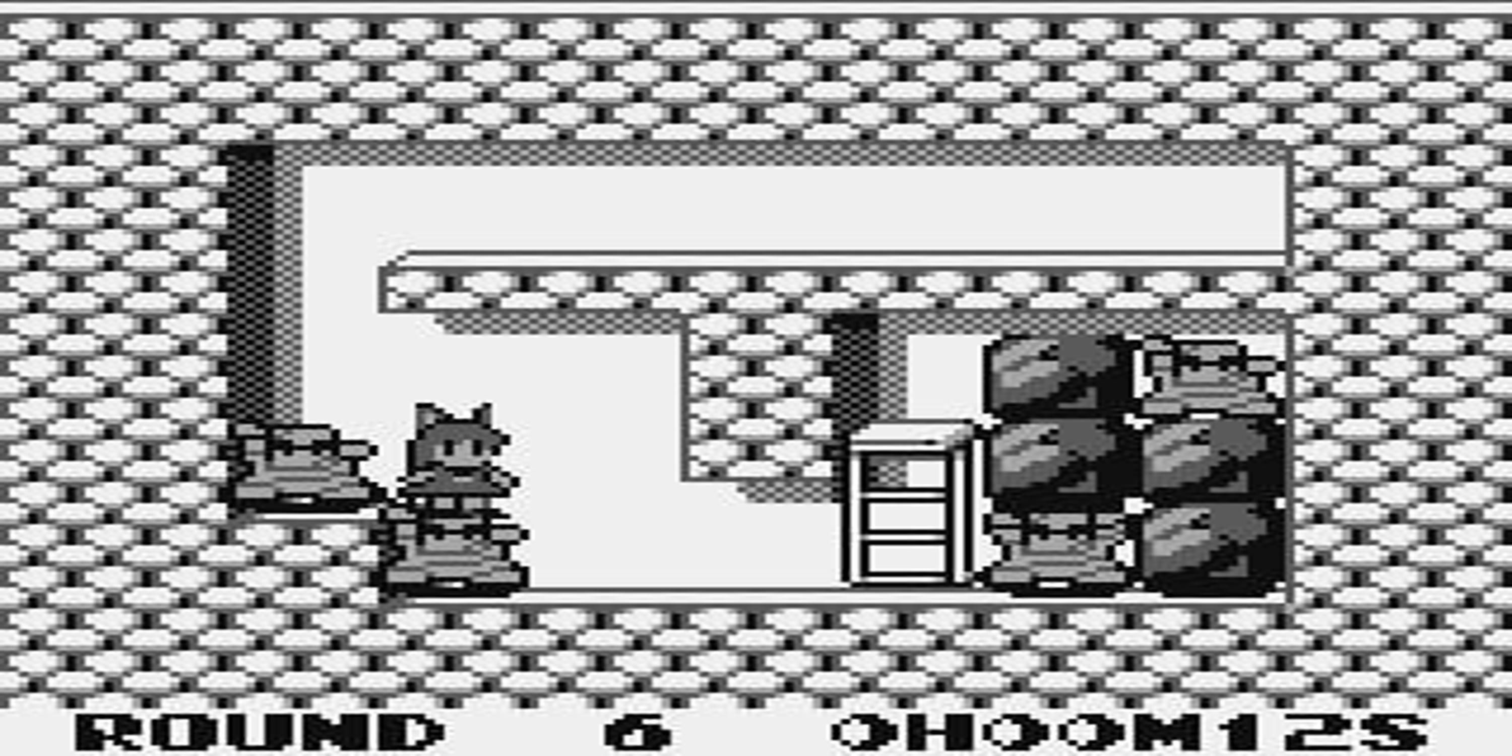 Best Hidden Gems On The Original Game Boy