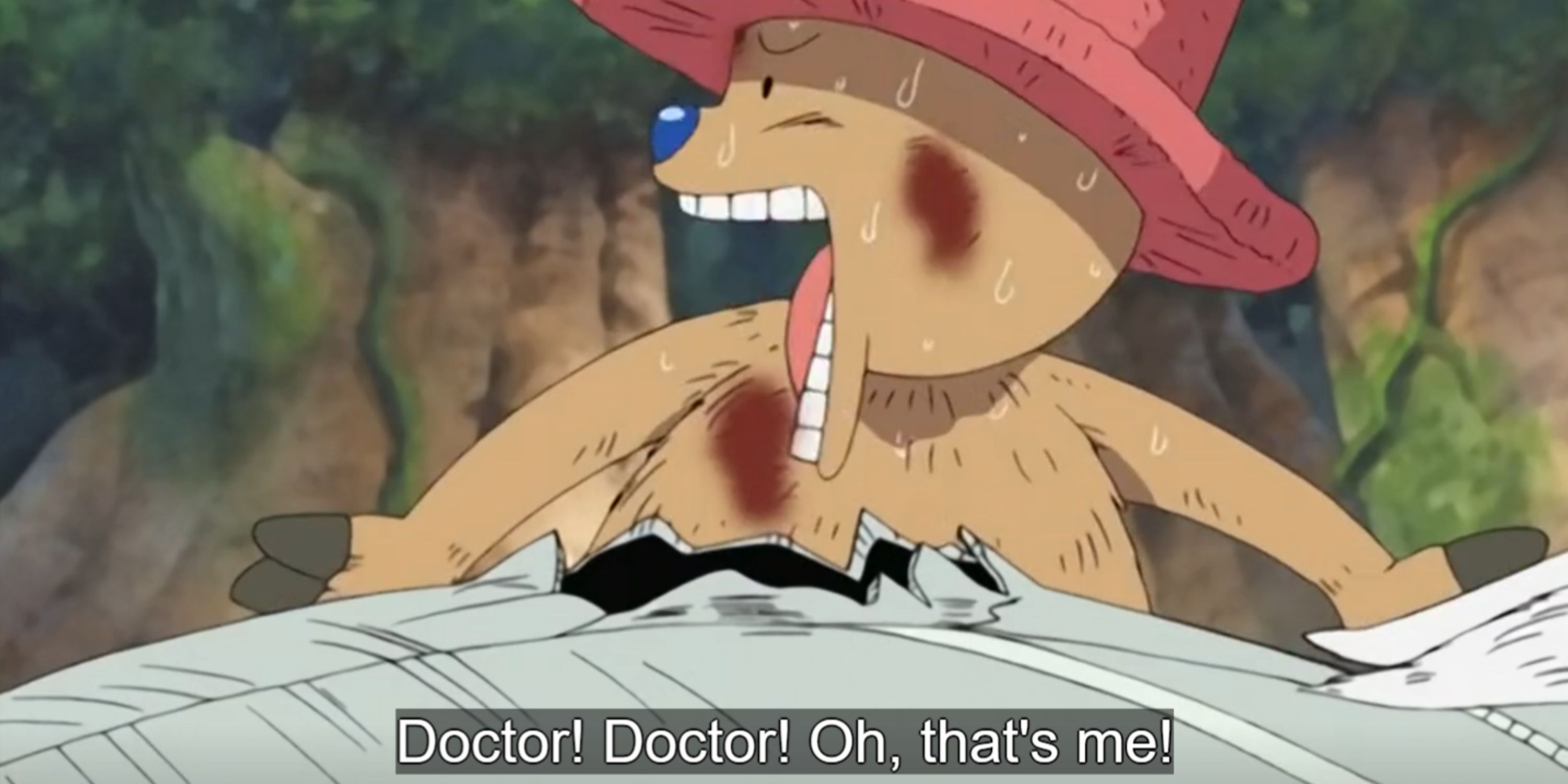 Chopper Panicking One Piece