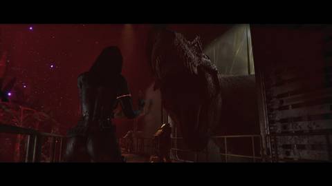 Code Violet Press Image 10