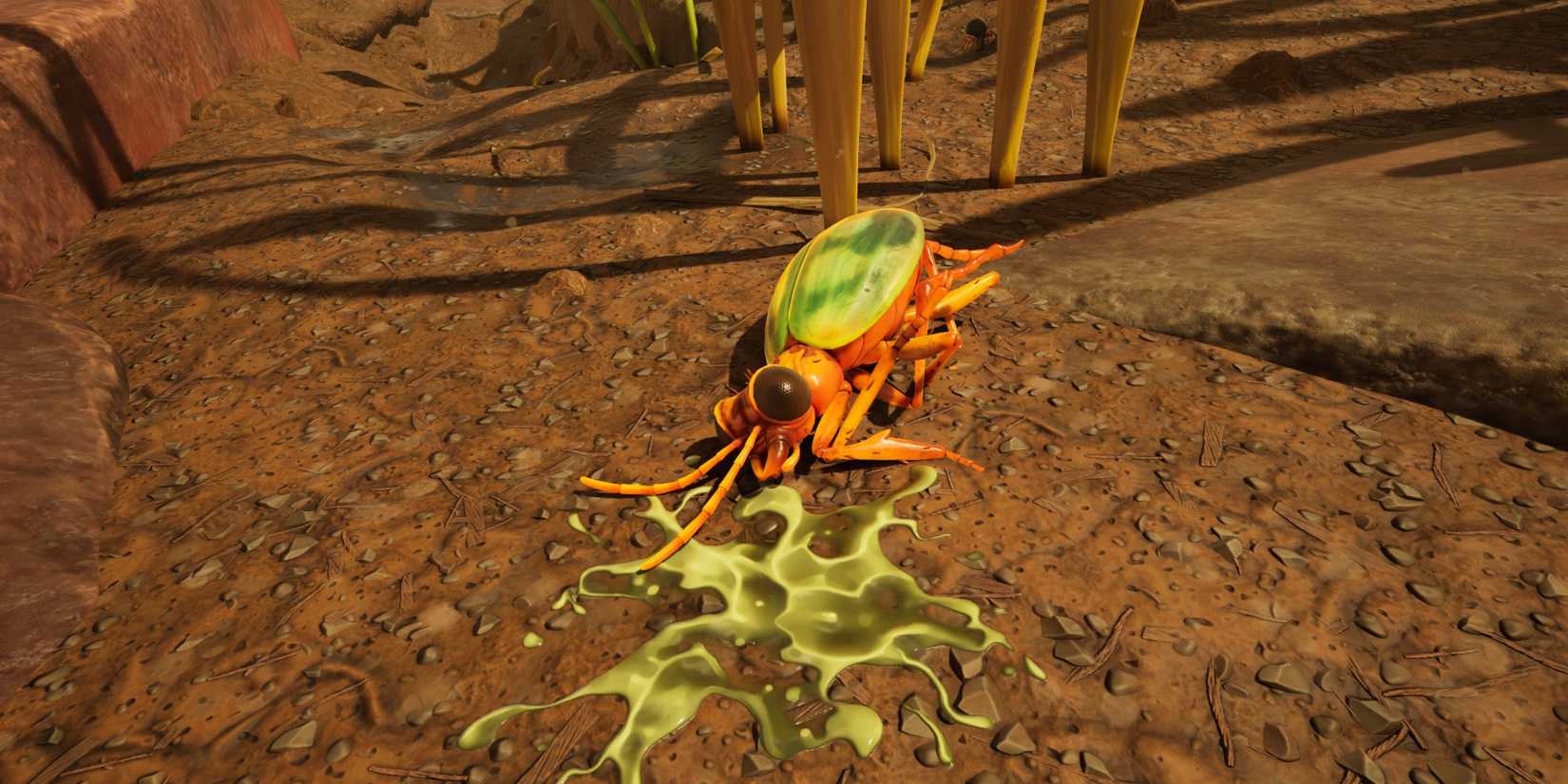 dead bombardier beetle in grounded 2