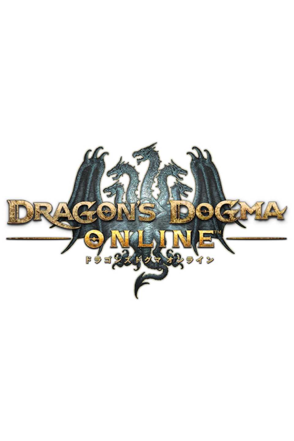 Dragon's Dogma Online video game cover art tag