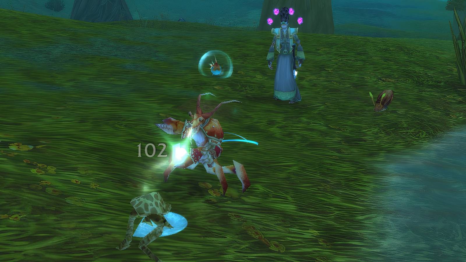 duskwood pet battle lobster