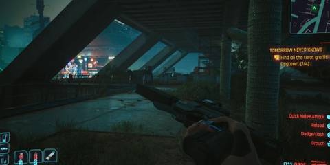 dying night entry image 1