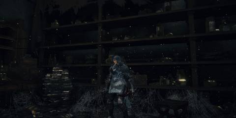 Elden Ring Assassin with Misericorde and Reduvia 