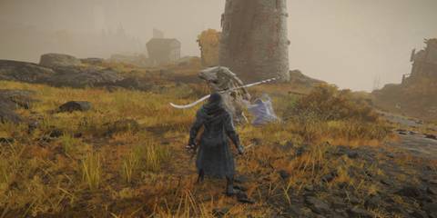 Elden Ring Mimic Tear fighting godskin apostle