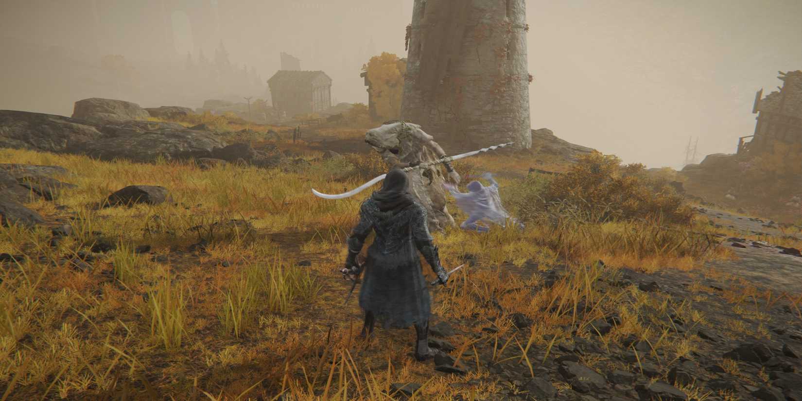 Elden Ring Mimic Tear fighting godskin apostle