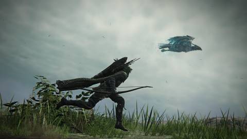 elden ring nightreign ironeye running