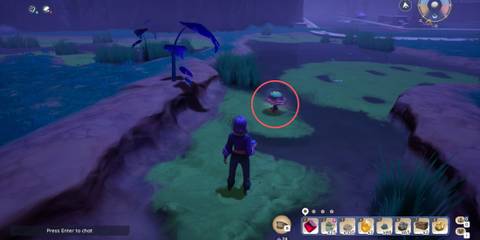 Elderclam Mushroom in Palia