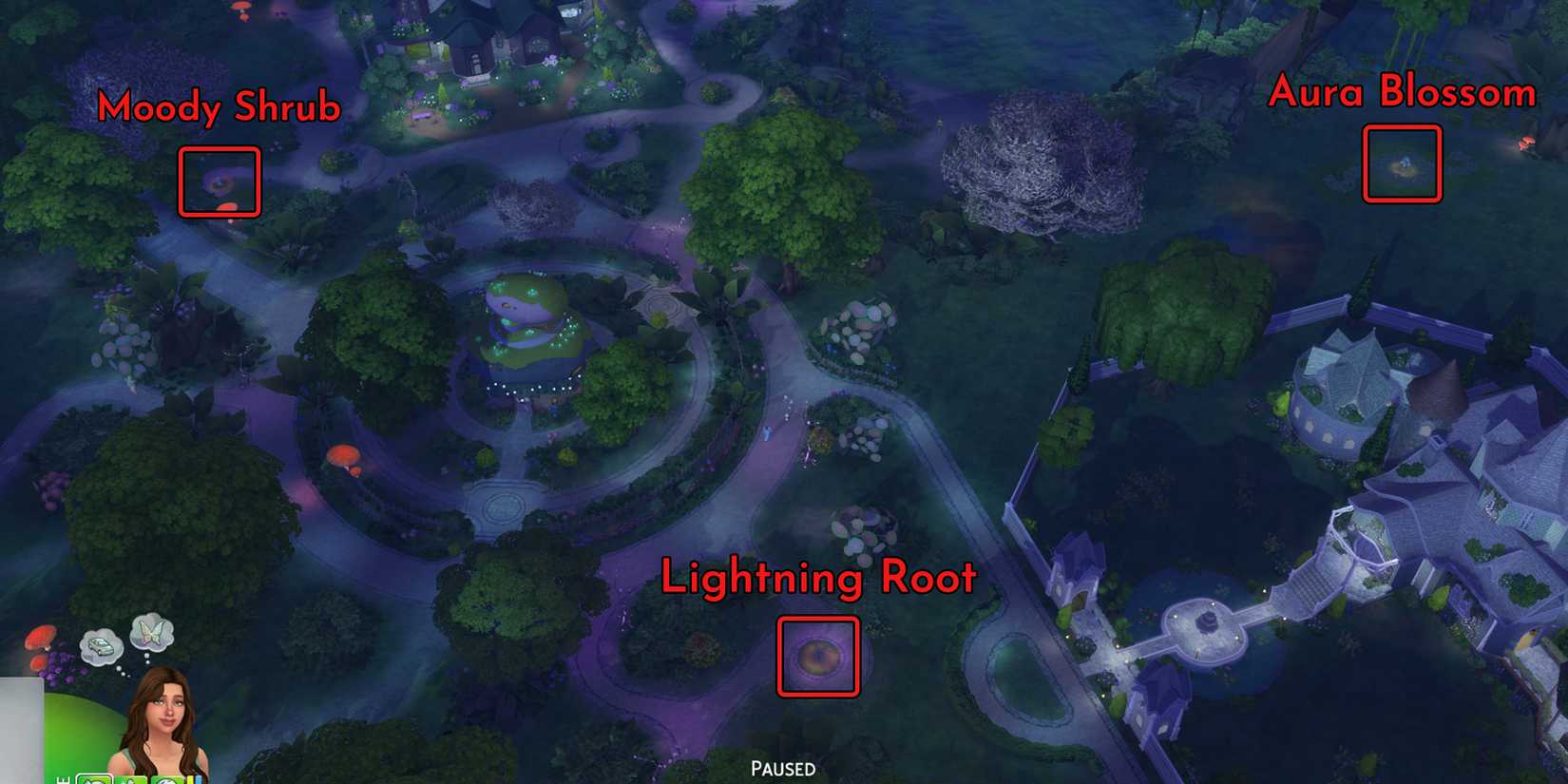 everdew plants location in the sims 4