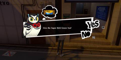 Fifth Orange Tabby Treasure Location Yongen-Jaya P5X (5)