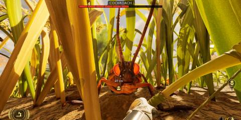 Fighting a Cockroach Grounded 2