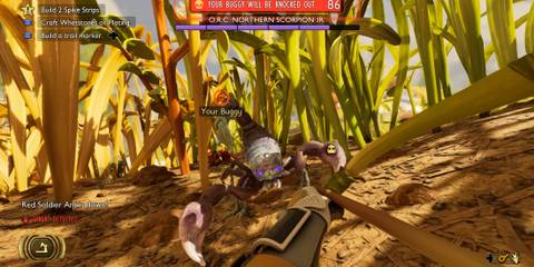 Fighting Northern Scorpion Jr Grounded 2