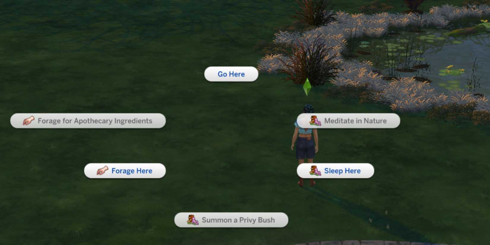 forage here the sims 4