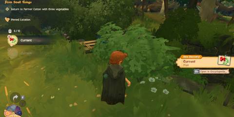 Gathering in Tales of the Shire