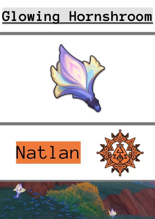 Glowing Hornshroom icon with the natlan emblem and a small image of glowing hornshrooms in the wild