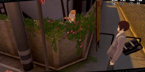 How to Start Treasure Tail Yongen-Jaya in P5X