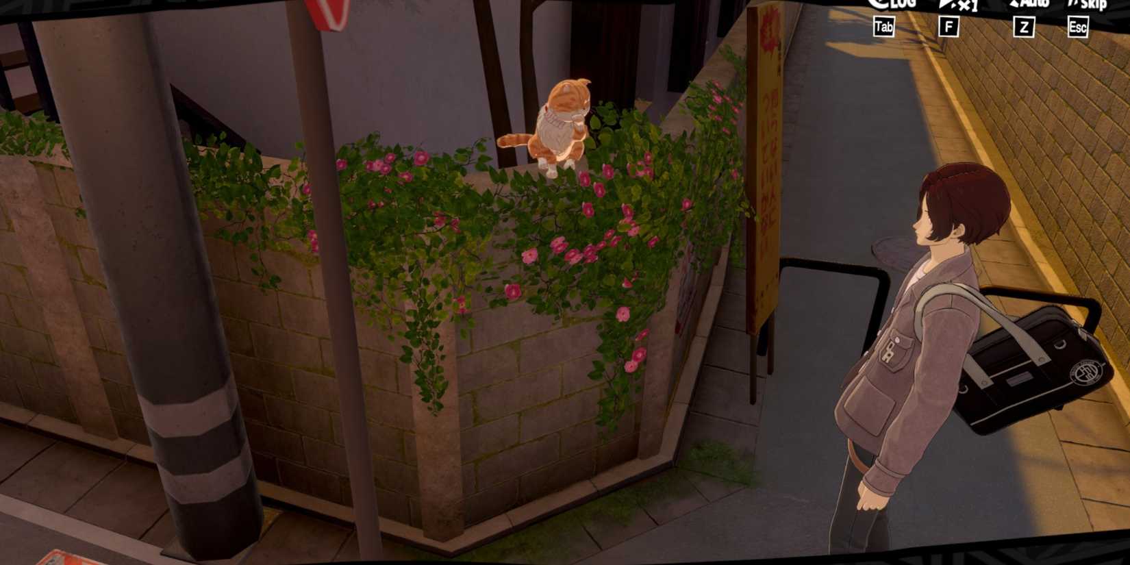 How to Start Treasure Tail Yongen-Jaya in P5X