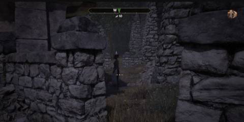 Oblivion Remastered rat problem quest