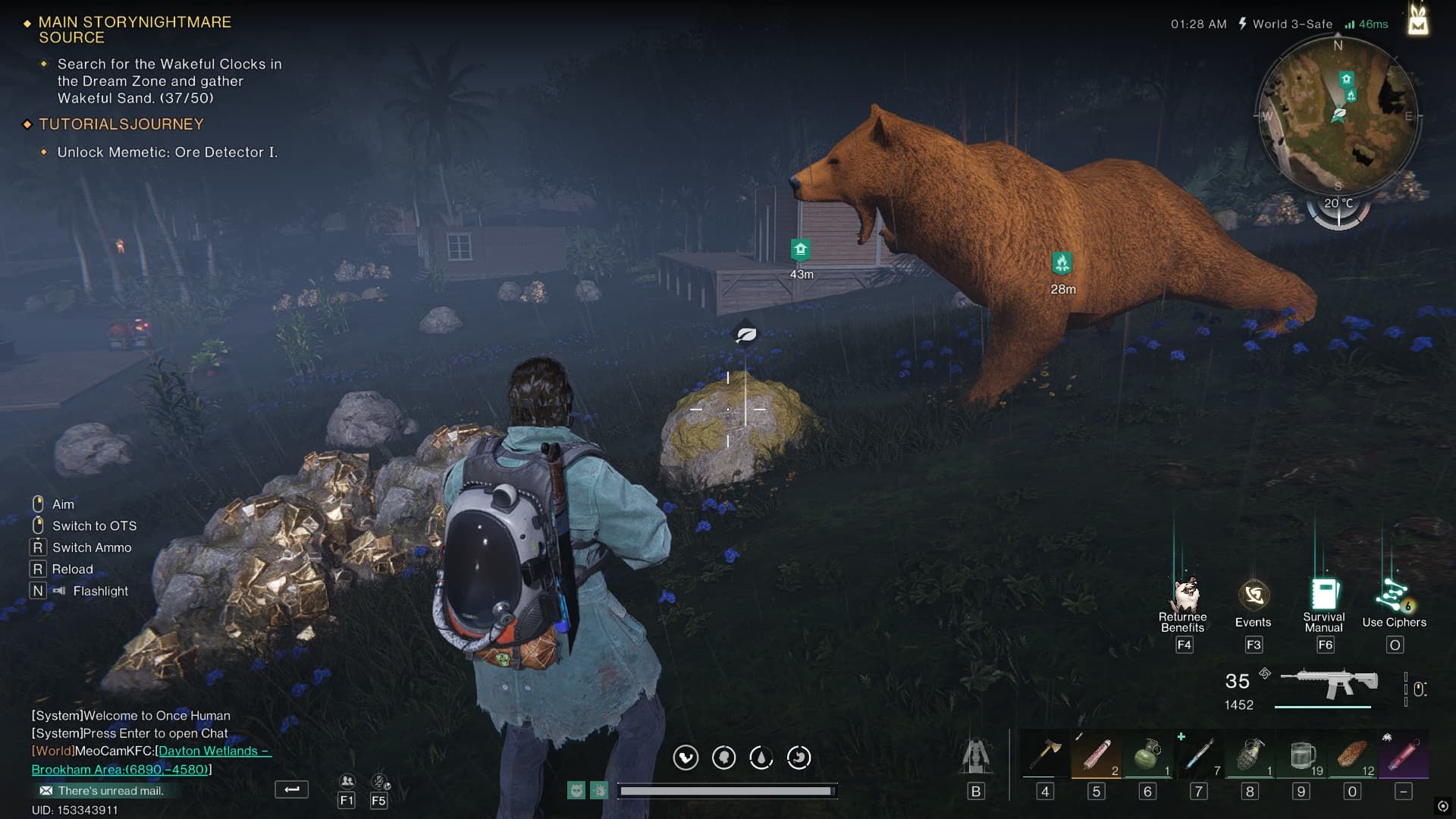 Once the human bear attacked rock