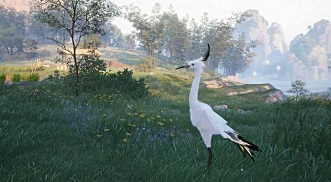 infinity-nikki-fan-egret-header-2