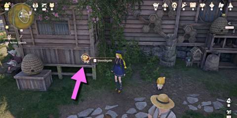 infinity-nikki-gifty-catching-bugs-in-the-meadow-solution