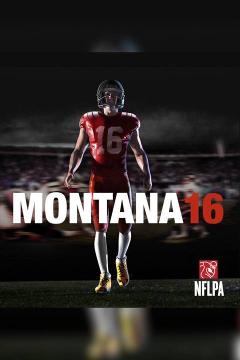 Joe Montana Football 16 video game cover art tag