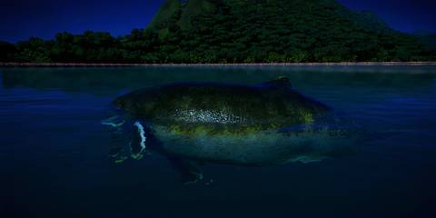 The Livyatan Melvillei swimming in a lagoon in Jurassic World Evolution 2