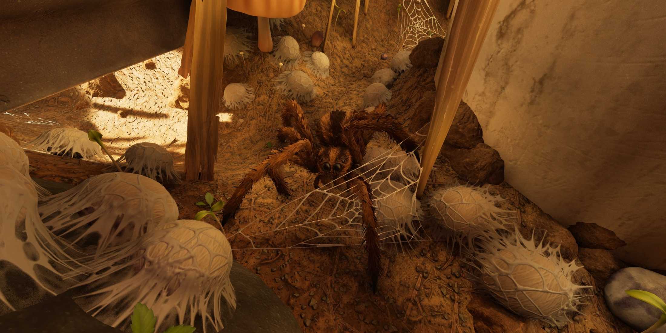 Soiser Grounded 2: Wolf Spider Locations